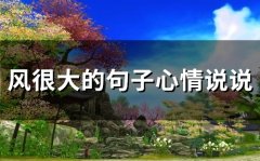 风很大的句子心情说说(精选61句)