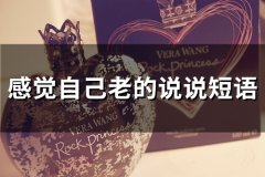 感觉自己老的说说短语(27句)