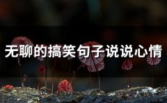 无聊的搞笑句子说说心情(95句)