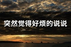 突然觉得好烦的说说(精选51句)