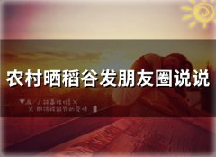 农村晒稻谷发朋友圈说说(21句)