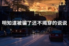 明知道被骗了还不揭穿的说说(193句)