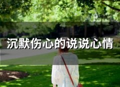 沉默伤心的说说心情(81句)