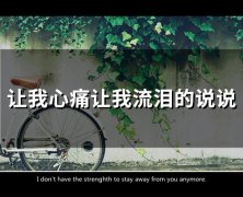 让我心痛让我流泪的说说(86句)