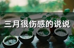 三月很伤感的说说(精选33句)