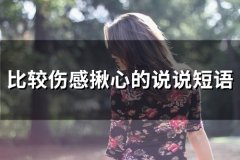 比较伤感揪心的说说短语(精选99句)