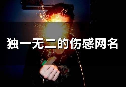 独一无二的伤感网名 特别扎心的昵称(独一无二的伤感网名两个字)