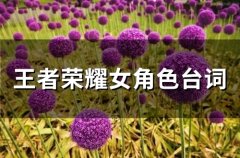 王者荣耀女角色台词 王者女英雄语录