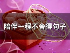 陪伴一程不舍得句子 对一个人不舍的句子