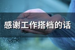 感谢工作搭档的话 感谢好搭档的句子