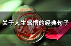 关于人生感悟的经典句子 感悟人生的精辟短句