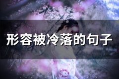 形容被冷落的句子 被冷落时适合发的句子