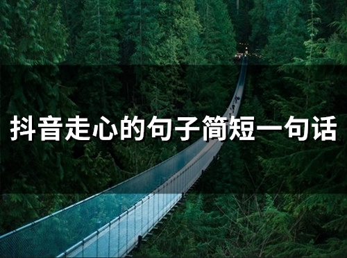 抖音走心的句子简短一句话 抖音文案短句大全 抖音最火的句子短句