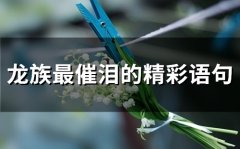 龙族最催泪的精彩语句 龙族语录中最浪漫的话