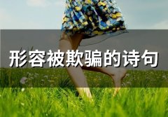形容被欺骗的诗句 暗示自己被欺骗的古诗
