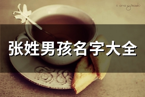 张姓男孩名字大全 张姓独一无二的男孩名字(张姓男孩名字大全2023属兔)