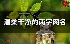 温柔干净的两字网名 简约昵称二字