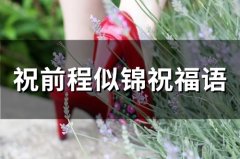 祝前程似锦祝福语大全