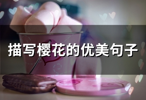 描写春天樱花的优美句子