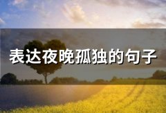表达夜晚孤独的句子 描写夜晚孤独寂寞的句子