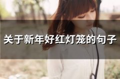 描写过年红灯笼的优美句子