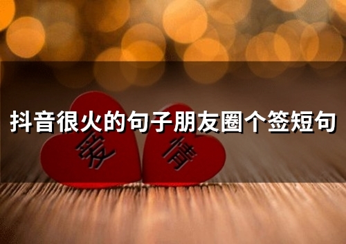 抖音上很火的个性签名短句(抖音上很火的个性签名简短)