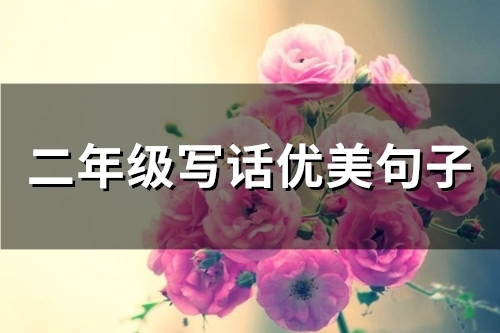 二年级写话优美句子摘抄大全