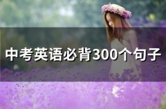 中考英语必背短语