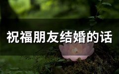 祝福朋友结婚的话语,句句暖人心