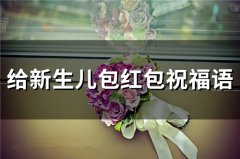 给新生儿宝宝红包祝福语大全