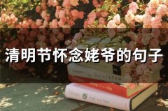 怀念姥爷的经典句子