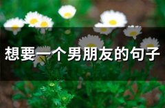 想找个男朋友的说说短句