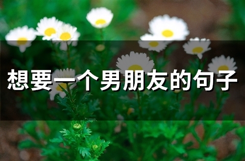 想找个男朋友的说说短句 想找个男朋友的文案