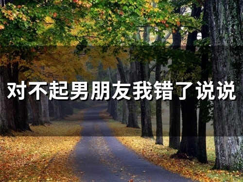 和男朋友说对不起我错了说说