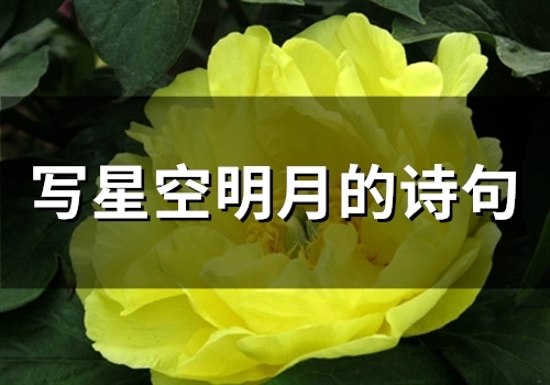 描写星空的诗句古诗词