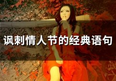 讽刺情人节的经典语句短句