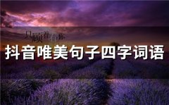抖音经典词语4个字
