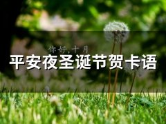 平安夜贺卡祝福语大全