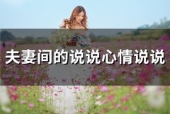 夫妻心情说说很现实的说说