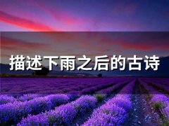描述下雨之后的古诗句子