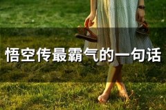 悟空传最经典的一句话
