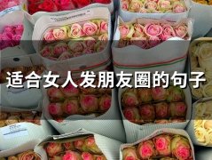 适合女人发朋友圈的精美句子