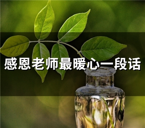 幼儿园感恩老师最暖心一段话