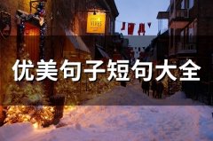优美句子短句大全 美好的句子唯美短句