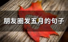 适合五月发朋友圈的句子