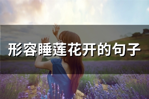 描写睡莲花开的优美句子