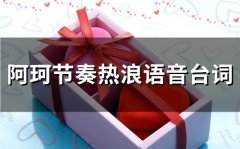 阿珂节奏热浪语音台词