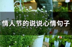 情人节的说说心情句子短句