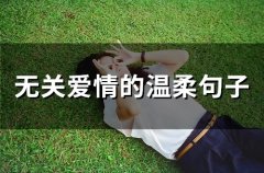 温柔但无关爱情的句子