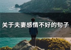 形容夫妻感情不好的语录